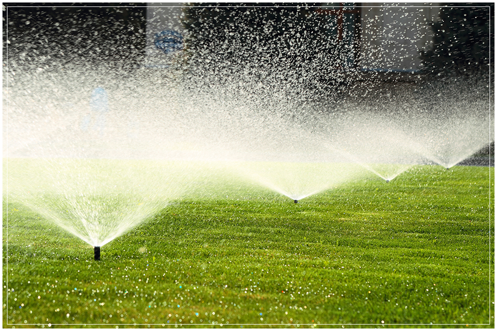 irrigation-systems.jpg